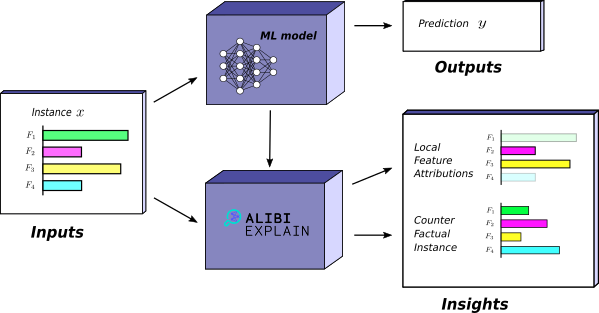 Model augmented with explainabilty
