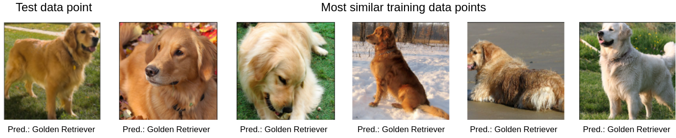 A similarity explanation justifies the classification of an image as a 'Golden Retriever' because most similar instances in the training set are also classified as 'Golden Retriever'.